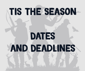 Dates & Deadlines